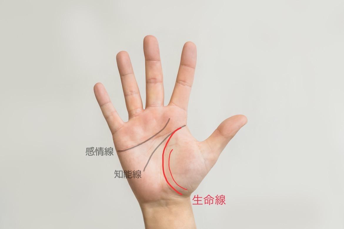 黄帝占術 手相篇: あなたの運勢は生命・頭脳・感情の三大線で